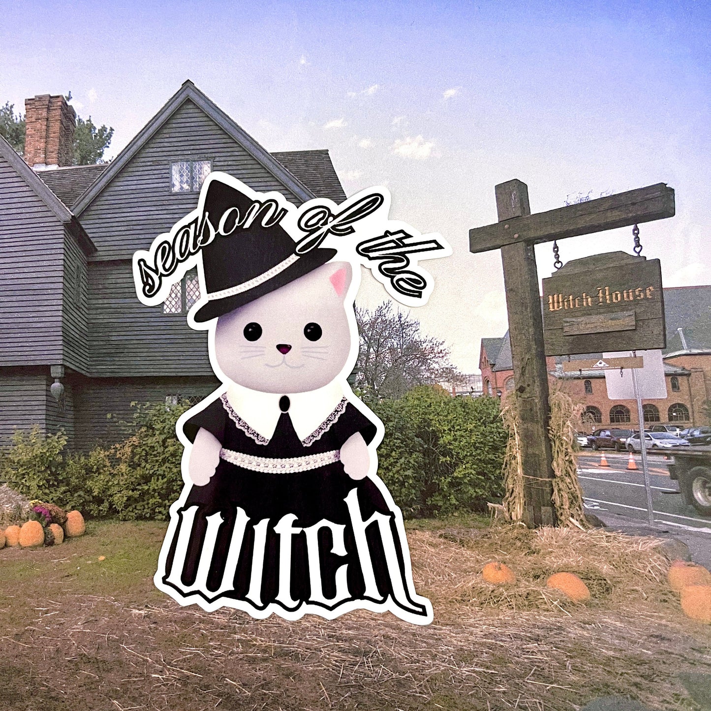 cat critter witch sticker