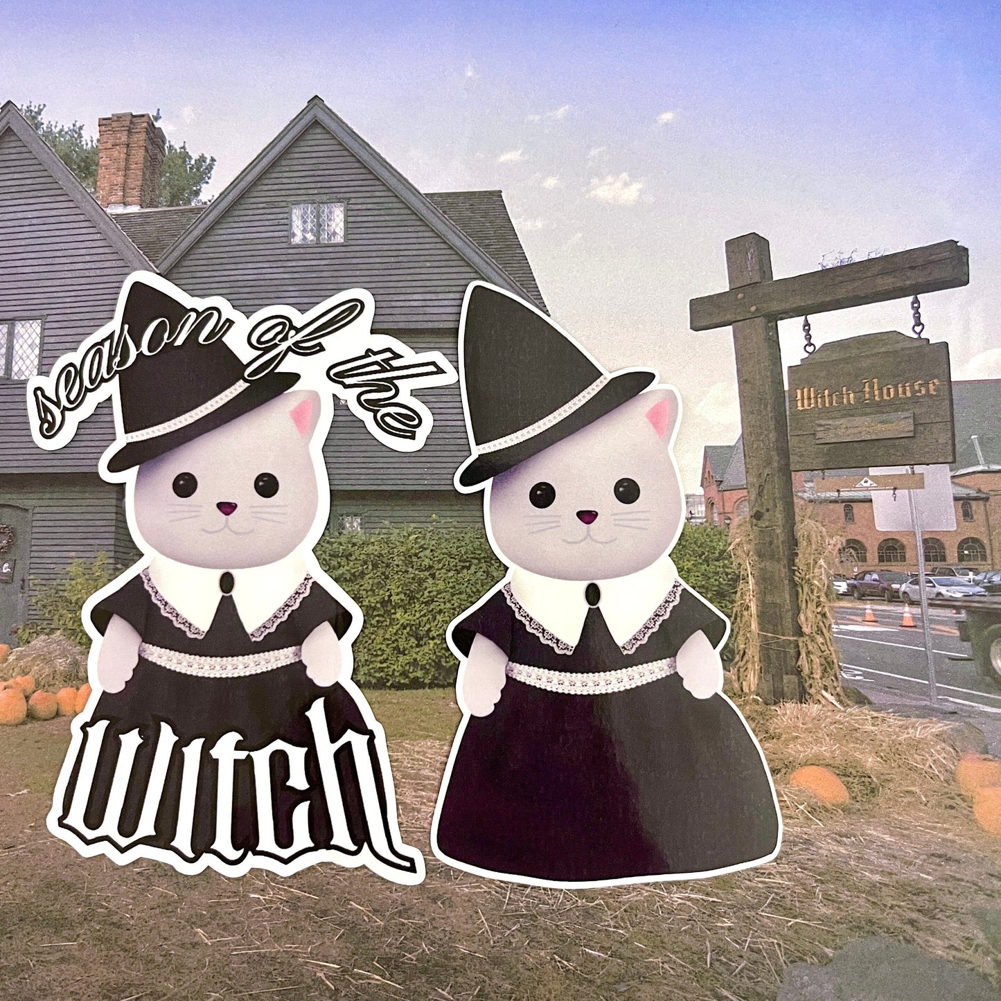 cat critter witch sticker